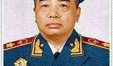 彭德怀和他的大黑骡子读后感