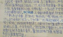 迷人的风景作文