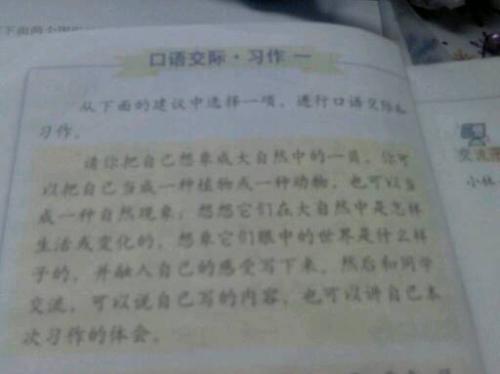 大自然征服了我的构图