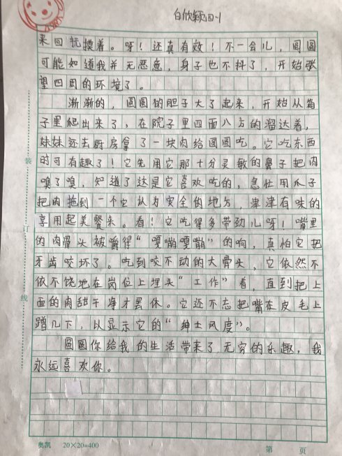 令人钦佩的作品