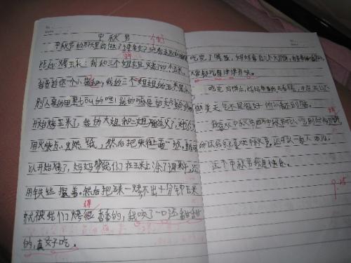 爷爷三年级小学作文