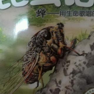 蝉和蚂蚁