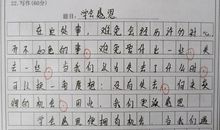 月考之后作文500字