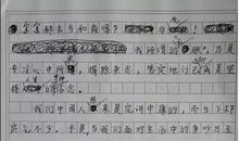 2013年高考满分作文江苏卷：萤火星空