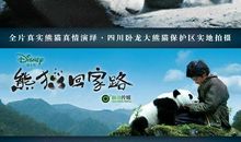 熊猫回家路观后感