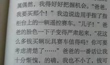 我敬佩的一个人作文300字