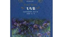 飞鸟集200字读后感