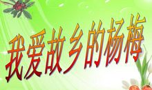 我爱家乡的杨梅作文