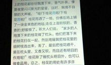 美丽的秋天作文500字