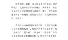 寒假趣事作文300字