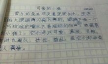 我的家作文150字
