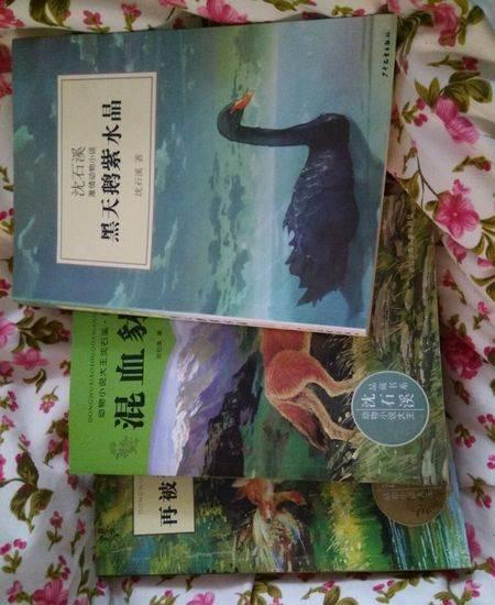 阅读后的黑天鹅紫水晶