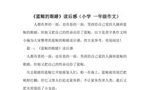 蓝鲸的眼睛读后感600字