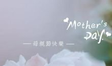 母爱的温度作文