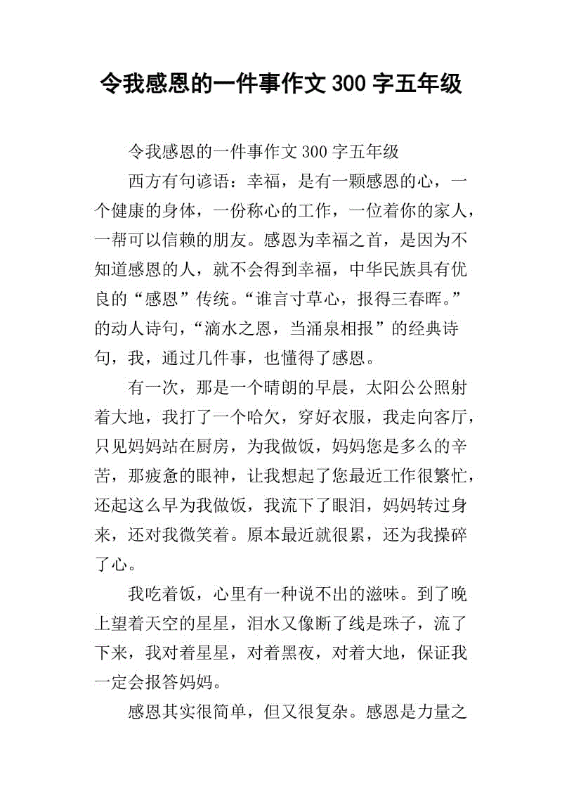 小东西五年级作文