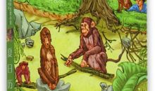 夏日历险读后感