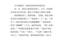 春节假期生活作文