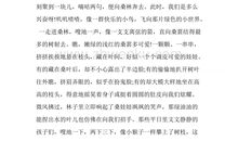 家乡的春节作文800字