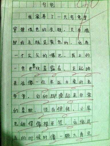 写动物构图的100个字