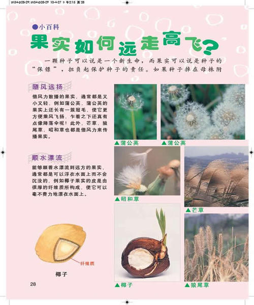 小学生对科普读物的印象