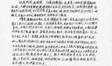 把爱传下去读后感