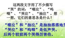 她是我的朋友读后感