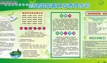 创建森林城市作文