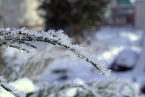 冬季早晨作文600字