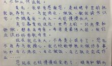 我的奶奶作文700字