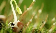 早安心语：路并没有错的，错的只是时间