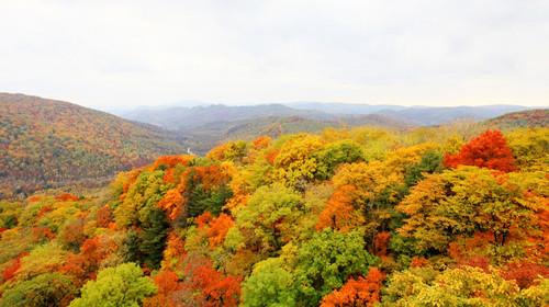 关于五华山的思考