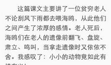 老人的黑帽子读后感