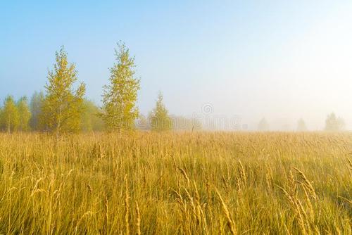 温暖的春天组成