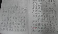 蚂蚁的启示作文600字