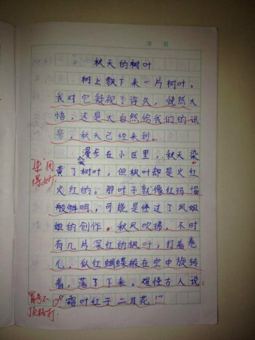 以温暖为主题的构图