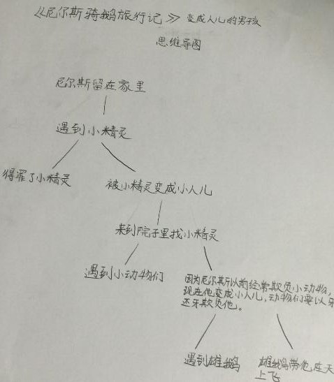 关于鹅旅行的思考