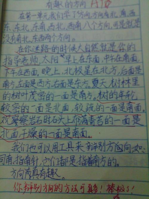 初中每周日记800字