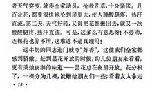 老舍作品读后感600字