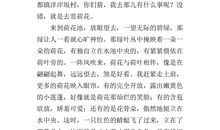 描写荷花的作文400字