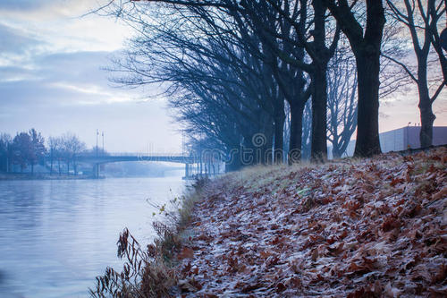 冬季早晨作文200字