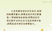 蚂蚁带给我的启示