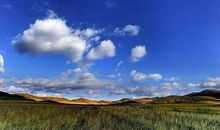 信任的力量读后感