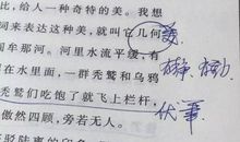 班主任推荐的100篇智慧美文读后感