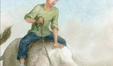 曹文轩的作品读后感