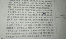 20年后的我作文400字