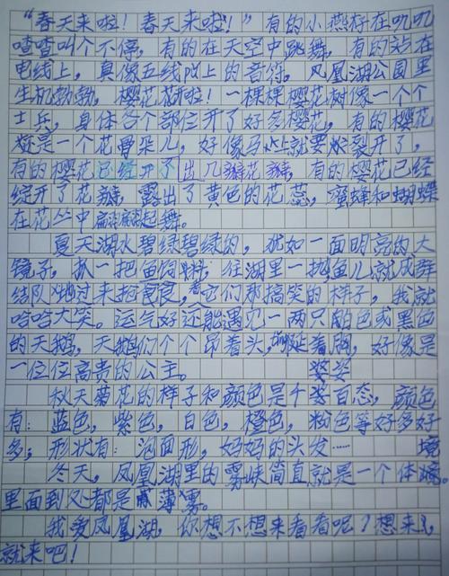 描绘夏日风景的构图