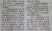 描写荷叶的作文