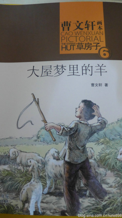 看完大房子里的羊梦