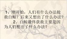 喜爱音乐的白鲸读后感