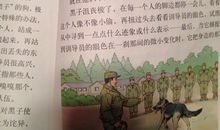 军犬黑子读后感